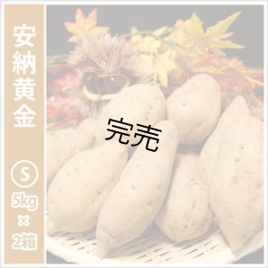 画像1: 安納黄金　Sサイズ(2箱セット)   【今シーズンの受付は終了いたしました】  