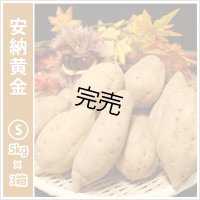 安納黄金　Sサイズ(3箱セット)   【今シーズンの受付は終了いたしました】  