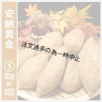 安納黄金　Sサイズ(3箱セット)   【2025年度のご予約受付中】  