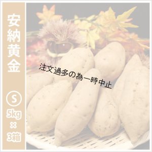 画像1: 安納黄金　Sサイズ(3箱セット)   【2025年度のご予約受付中】  