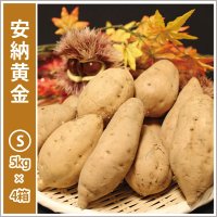 安納黄金　Sサイズ(4箱セット)   【2025年度のご予約受付中】  