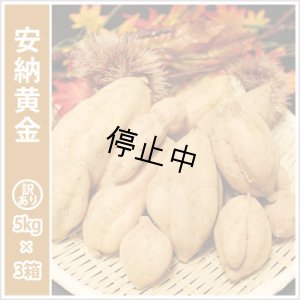 画像1: 訳あり安納黄金(3箱セット)   【選別後 収穫量を見て販売可能か判断いたします】  