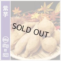 紫芋　S〜Lサイズミックス(2箱セット)  【2024年度のご予約スタート！お届けは12月初旬予定！】  