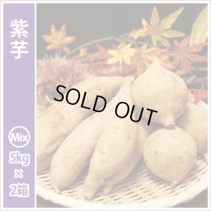 画像1: 紫芋　S〜Lサイズミックス(2箱セット)  【2024年度のご予約スタート！お届けは12月初旬予定！】  