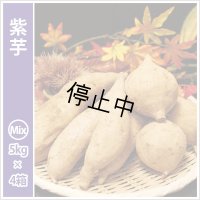 紫芋　S〜Lサイズミックス(4箱セット)  【今期は販売中止】  