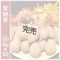 安納芋　コロコロ2Sサイズ(3箱セット)   【2025年度ご注文受付中】  