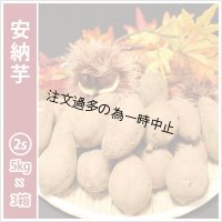 安納芋　コロコロ2Sサイズ(3箱セット)   【2025年度のご予約受付中】  