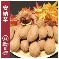 安納芋　コロコロ2Sサイズ(4箱セット)   【2025年度のご予約受付中】  