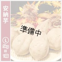 安納芋　Lサイズ  【2026年度ご予約開始】  