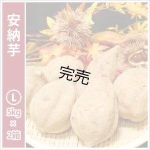 画像1: 安納芋　Lサイズ(2箱セット)   【2025年度ご注文受付中】  