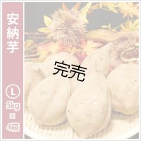 安納芋　Lサイズ(4箱セット)   【2025年度ご注文受付中】  