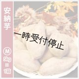 安納芋　Mサイズ  【2024年度のご予約スタート！お届けは12月初旬予定！】  