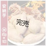 安納芋　Mサイズ  【シーズン最後の感謝セール価格】  