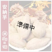 安納芋　Mサイズ  【2026年度ご予約開始】  