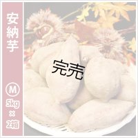 安納芋　Mサイズ(2箱セット)   【2025年度ご注文受付中】  