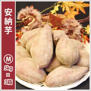 画像1: 安納芋 Mサイズ(3箱セット)   【2025年度のご予約受付中】