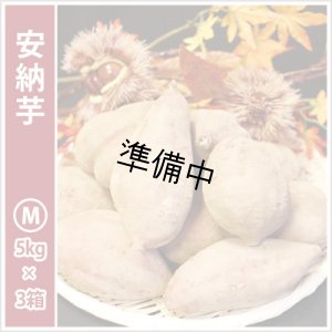 画像1: 安納芋　Mサイズ(3箱セット)   【2026年度ご予約開始】  