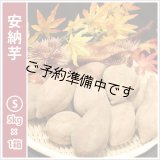 安納芋　Sサイズ　  【2025年度のご予約開始まで今しばらくお待ちください】  