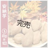 安納芋　Sサイズ　  【シーズン最後の感謝セール価格】  