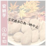 安納芋　Sサイズ　  【2025年度のご予約受付中】  
