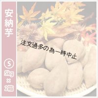 安納芋　Sサイズ(2箱セット)  【2025年度のご予約受付中】  