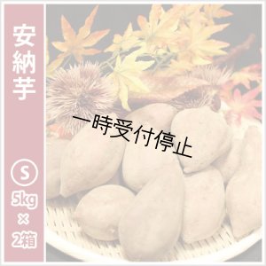 画像1: 安納芋　Sサイズ(2箱セット)  【2024年度のご予約スタート！お届けは12月初旬予定！】  