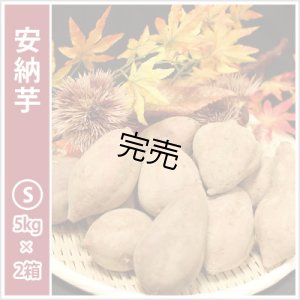 画像1: 安納芋　Sサイズ(2箱セット)  【今シーズンの受付は終了いたしました】  