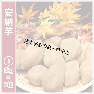 画像1: 安納芋　Sサイズ(2箱セット)  【2025年度のご予約受付中】  