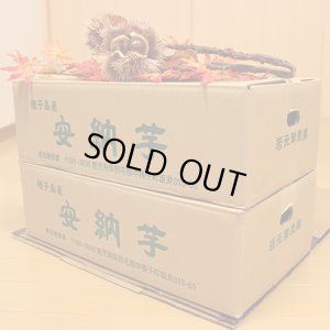 画像6: 安納つるし芋(3kg)【2箱セット】   【準備中です】