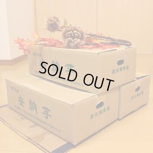 画像6: 安納つるし芋(3kg)【3箱セット】  【準備中です】