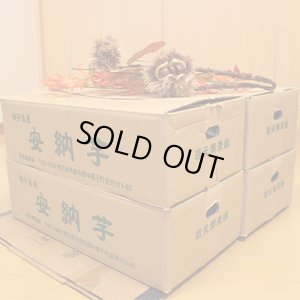 画像6: 安納つるし芋(3kg)【4箱セット】   【準備中です】