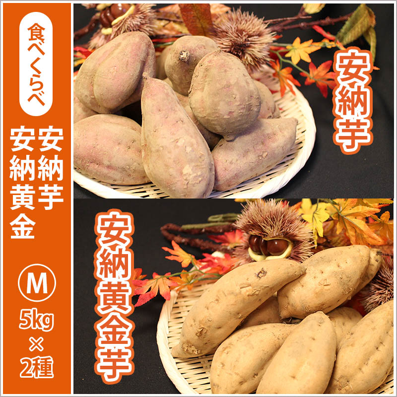安納芋と安納黄金(こがね)食べ比べ2箱セット　Mサイズ 【2024年度のご予約スタート！お届けは12月初旬予定！】
