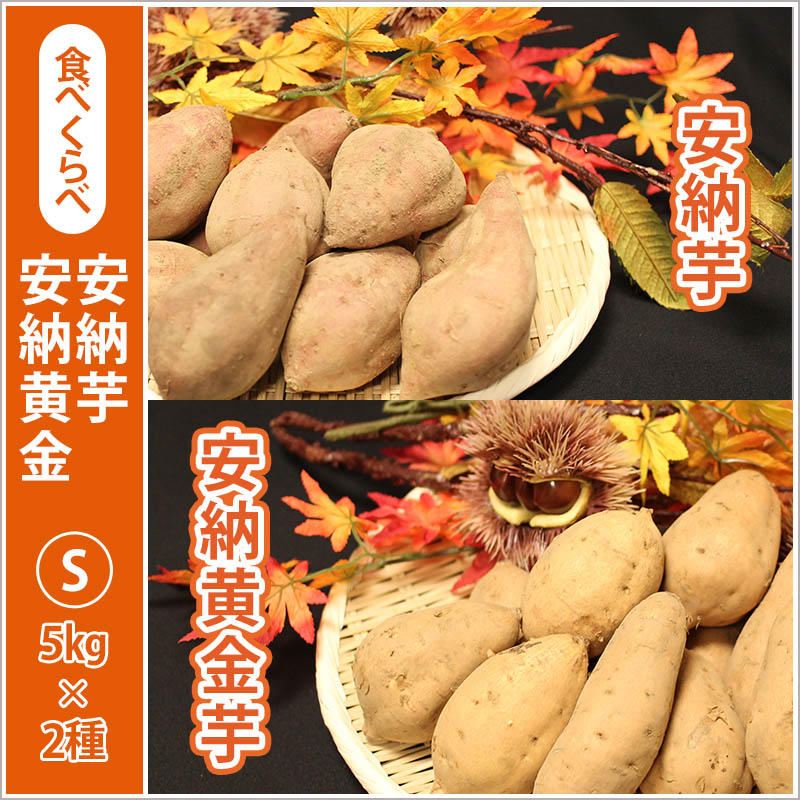 安納芋と安納黄金(こがね)食べ比べ2箱セット　Sサイズ【2024年度のご予約スタート！お届けは12月初旬予定！】
