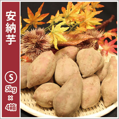 安納芋　Sサイズ(4箱セット) 【2024年度のご予約スタート！お届けは12月初旬予定！】