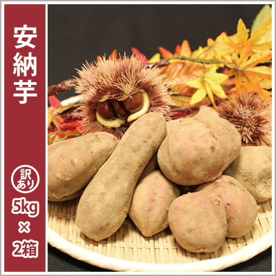 訳あり安納芋(2箱セット) 【選別後 収穫量を見て販売可能か判断いたします】