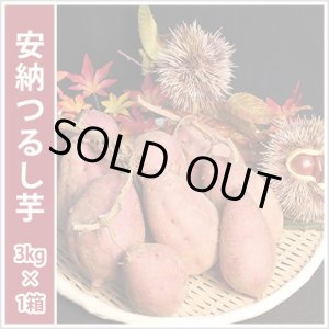 画像: 安納つるし芋(3kg)   【2023年度の販売は終了いたしました】  