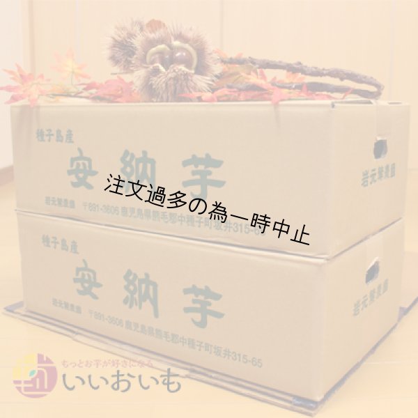 画像6: 安納芋と安納黄金(こがね)食べ比べ2箱セット　Sサイズ<br><span class="red">【2025年度のご予約受付中】</span><br /> (6)