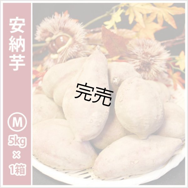 画像2: 安納芋と安納黄金(こがね)食べ比べ2箱セット　Mサイズ <br><span class="red">【今シーズンの受付は終了いたしました】</span><br /> (2)