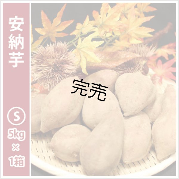 画像2: 安納芋と安納黄金(こがね)食べ比べ2箱セット　Sサイズ<br><span class="red">【今シーズンの受付は終了いたしました】</span><br /> (2)