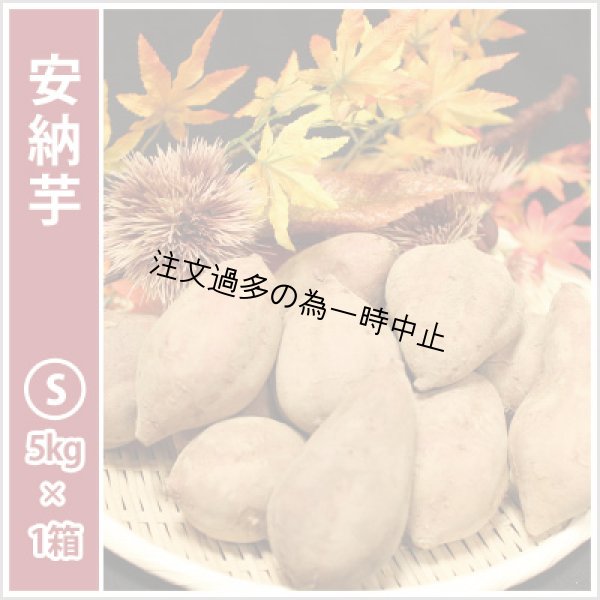 画像2: 安納芋と安納黄金(こがね)食べ比べ2箱セット　Sサイズ<br><span class="red">【2025年度のご予約受付中】</span><br /> (2)