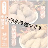 画像: 安納芋と安納黄金(こがね)食べ比べ2箱セット　Mサイズ   【2025年度のご予約開始まで今しばらくお待ちください】  