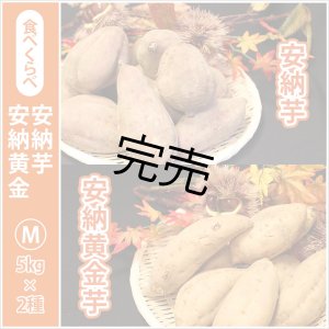 画像: 安納芋と安納黄金(こがね)食べ比べ2箱セット　Mサイズ   【今シーズンの受付は終了いたしました】  