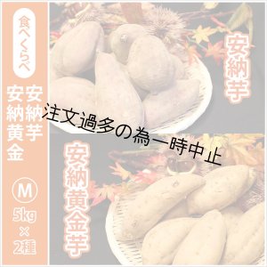 画像: 安納芋と安納黄金(こがね)食べ比べ2箱セット　Mサイズ   【2025年度のご予約受付中】  