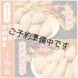 画像: 安納芋と安納黄金(こがね)食べ比べ2箱セット　Sサイズ  【2025年度のご予約開始まで今しばらくお待ちください】  