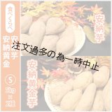 画像: 安納芋と安納黄金(こがね)食べ比べ2箱セット　Sサイズ  【2025年度のご予約受付中】  