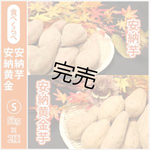 画像: 安納芋と安納黄金(こがね)食べ比べ2箱セット　Sサイズ  【今シーズンの受付は終了いたしました】  