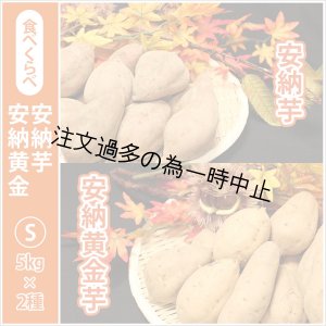 画像: 安納芋と安納黄金(こがね)食べ比べ2箱セット　Sサイズ  【2025年度のご予約受付中】  