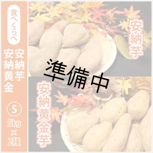 画像: 安納芋と安納黄金(こがね)食べ比べ2箱セット Sサイズ 【2026年度ご予約開始】