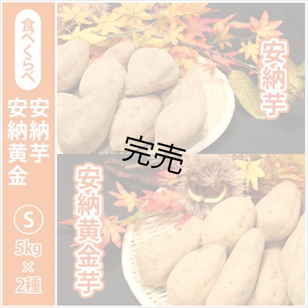 画像1: 安納芋と安納黄金(こがね)食べ比べ2箱セット　Sサイズ<br><span class="red">【今シーズンの受付は終了いたしました】</span><br /> (1)