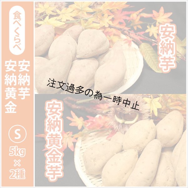 画像1: 安納芋と安納黄金(こがね)食べ比べ2箱セット　Sサイズ<br><span class="red">【2025年度のご予約受付中】</span><br /> (1)